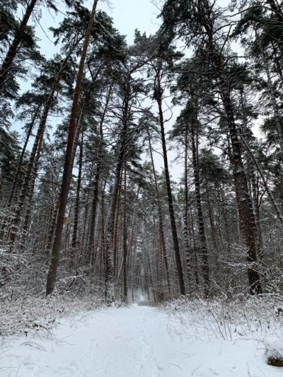 Мокрый снег и гололедица