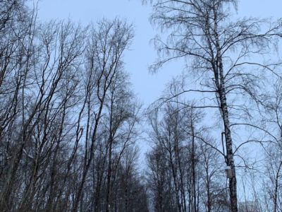 Облачная погода и гололедица