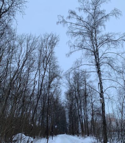 Облачная погода и гололедица