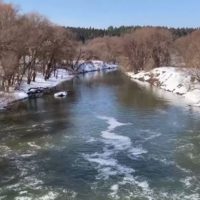 Притоки Оки освободились ото льда