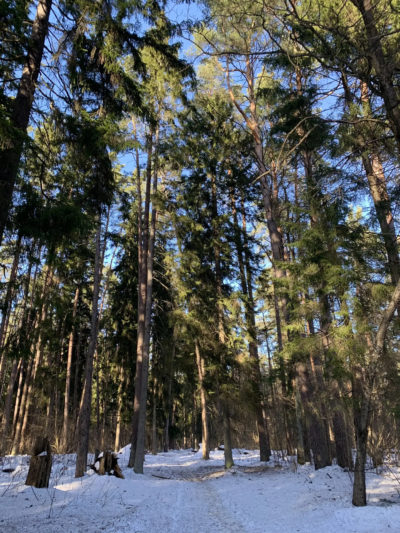 В Калуге воздух прогреется до +12°C В Калуге воздух прогреется до +12°C