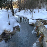 В Калуге ожидается пасмурная погода до +6°С