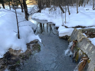 В Калуге ожидается пасмурная погода до +6°С