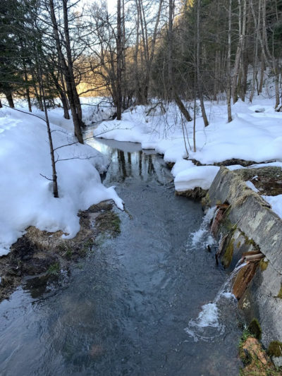 В Калуге ожидается пасмурная погода до +6°С