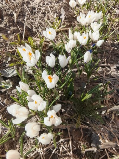 Сегодня в Калуге тепло и солнечно 