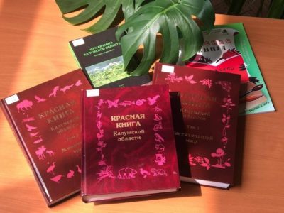 Калужский список «краснокнижных» животных и грибов будет пополнен