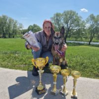 Всегда на посту