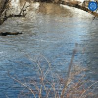 В Обнинске затопило дачный кооператив