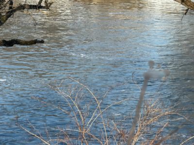 В Обнинске затопило дачный кооператив