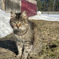 Тёплая и солнечная погода ожидает калужан в субботу