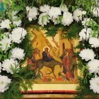 Владислав Шапша поздравил православных калужан с Вербным воскресеньем