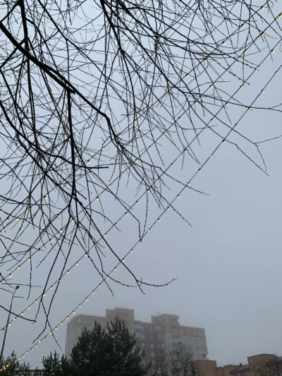 В Калугу вернулась зима