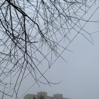 В Калуге ожидается пасмурная и дождливая погода В Калуге ожидается пасмурная и дождливая погода