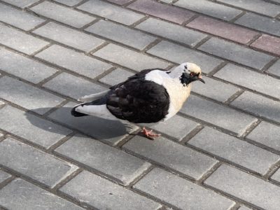 В Калуге ожидается облачная погода с прояснениями