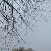 Выходные в Калуге будут пасмурными и прохладными