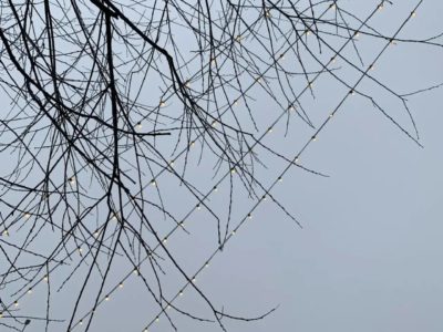 Выходные в Калуге будут пасмурными и прохладными