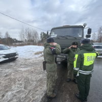 ВАИ проверила ремни