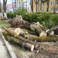 Шаги зелёного обновления