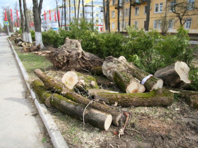 Шаги зелёного обновления