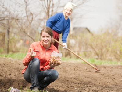 На те же грабли…