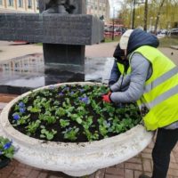 В Калуге начали сажать цветы