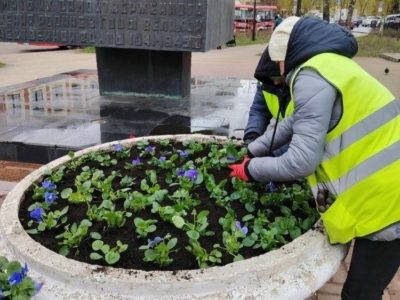 В Калуге начали сажать цветы