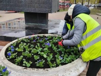 В Калуге будет высажено более 232 тысяч цветов