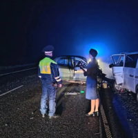 Водитель Renault погиб в ночном ДТП на трассе М3 «Украина»