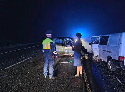 Водитель Renault погиб в ночном ДТП на трассе М3 «Украина»