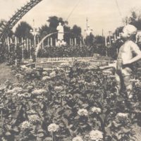 История в камне. Глава шестая