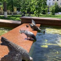 В Калуге ожидается облачная погода с прояснениями до +29°C