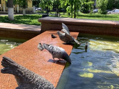 В Калуге ожидается облачная погода с прояснениями до +29°C