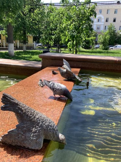 В Калуге ожидается облачная погода с прояснениями до +29°C