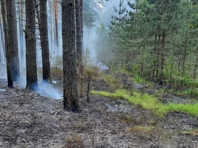 В Калужской области ожидается высокий класс пожарной опасности