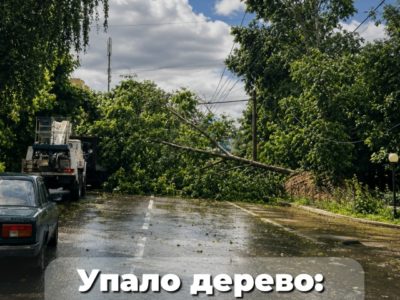 Калужанам напомнили, куда обращаться, если упало дерево Калужанам напомнили, куда обращаться, если упало дерево