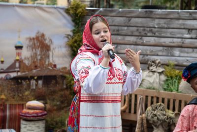 «Я лечу над Россией»