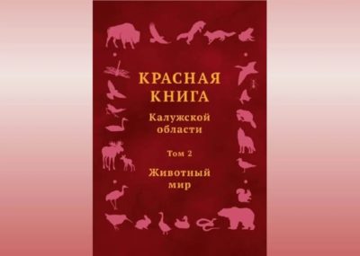 Красную книгу Калужской области пополнят 29 видов животных