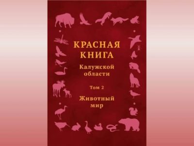 Красную книгу Калужской области пополнят 29 видов животных Красную книгу Калужской области пополнят 29 видов животных