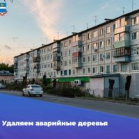 На улице Максима Горького начали удалять аварийные и больные деревья