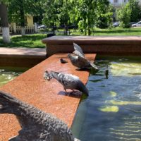 В Калуге ожидается солнечная погода до +29°С