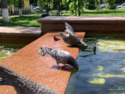В Калуге ожидается солнечная погода до +29°С В Калуге ожидается солнечная погода до +29°С