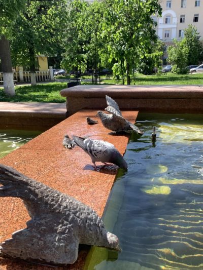 В Калуге ожидается солнечная погода до +29°С В Калуге ожидается солнечная погода до +29°С