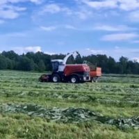 С калужских полей заготовили 218 тысяч тонн кормов С калужских полей заготовили 218 тысяч тонн кормов