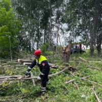 Ветер свалил около 300 деревьев в Калужской области Ветер свалил около 300 деревьев в Калужской области