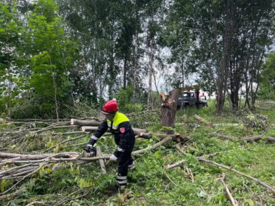 Ветер свалил около 300 деревьев в Калужской области Ветер свалил около 300 деревьев в Калужской области