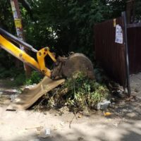 С контейнерных площадок вывезена тысяча кубов отходов С контейнерных площадок вывезена тысяча кубов отходов
