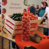 Огурцы и помидоры за неделю подешевели на 6%