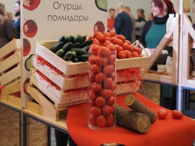 Огурцы и помидоры за неделю подешевели на 6% Огурцы и помидоры за неделю подешевели на 6%