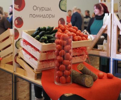 Огурцы и помидоры за неделю подешевели на 6%