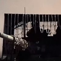 Армия России освободила еще четыре населенных пункта